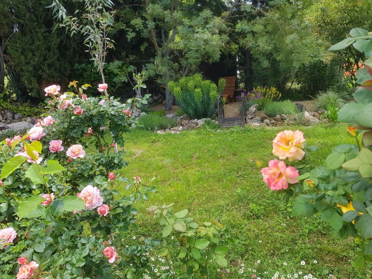 Maison Mimosa Salernes Eksteriør bilde